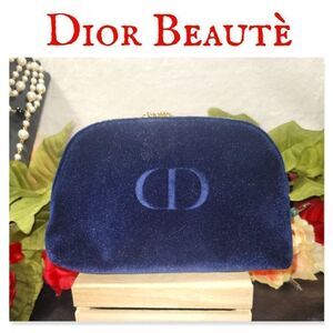 NIB Dior Beautè Bag